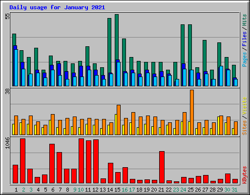 Daily usage for January 2021