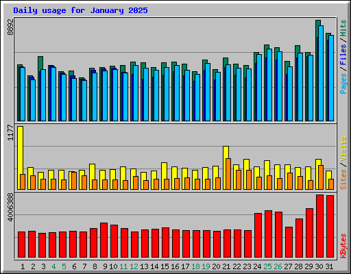 Daily usage for January 2025