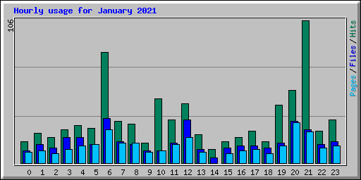 Hourly usage for January 2021