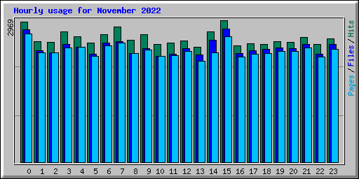 Hourly usage for November 2022