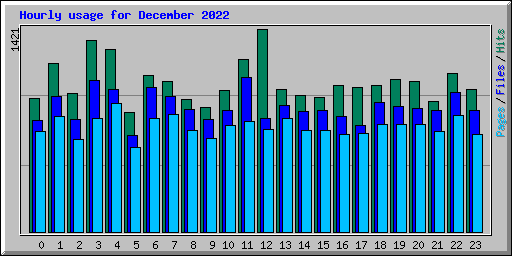 Hourly usage for December 2022