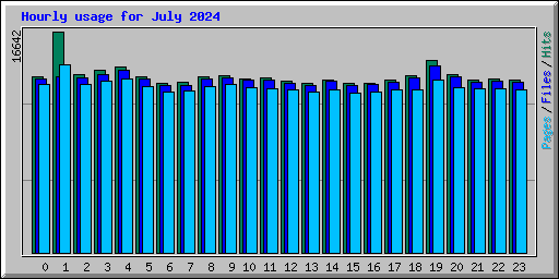 Hourly usage for July 2024