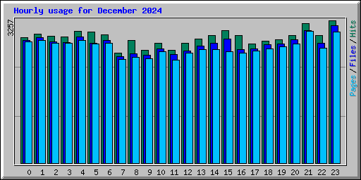 Hourly usage for December 2024