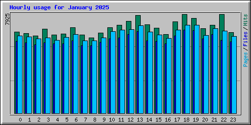 Hourly usage for January 2025