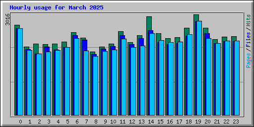 Hourly usage for March 2025