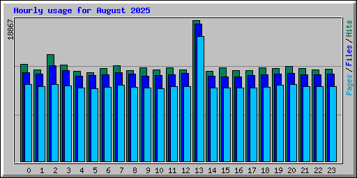 Hourly usage for August 2025