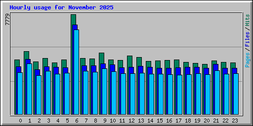 Hourly usage for November 2025