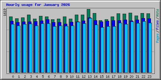 Hourly usage for January 2026