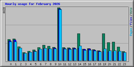 Hourly usage for February 2026