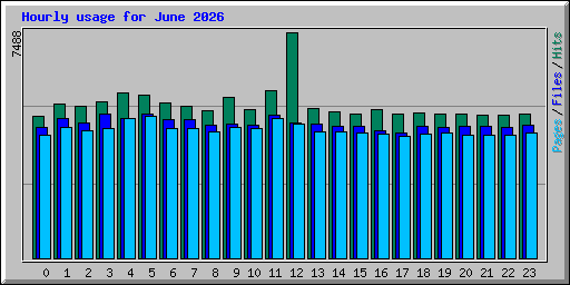 Hourly usage for June 2026