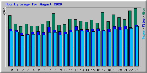 Hourly usage for August 2026